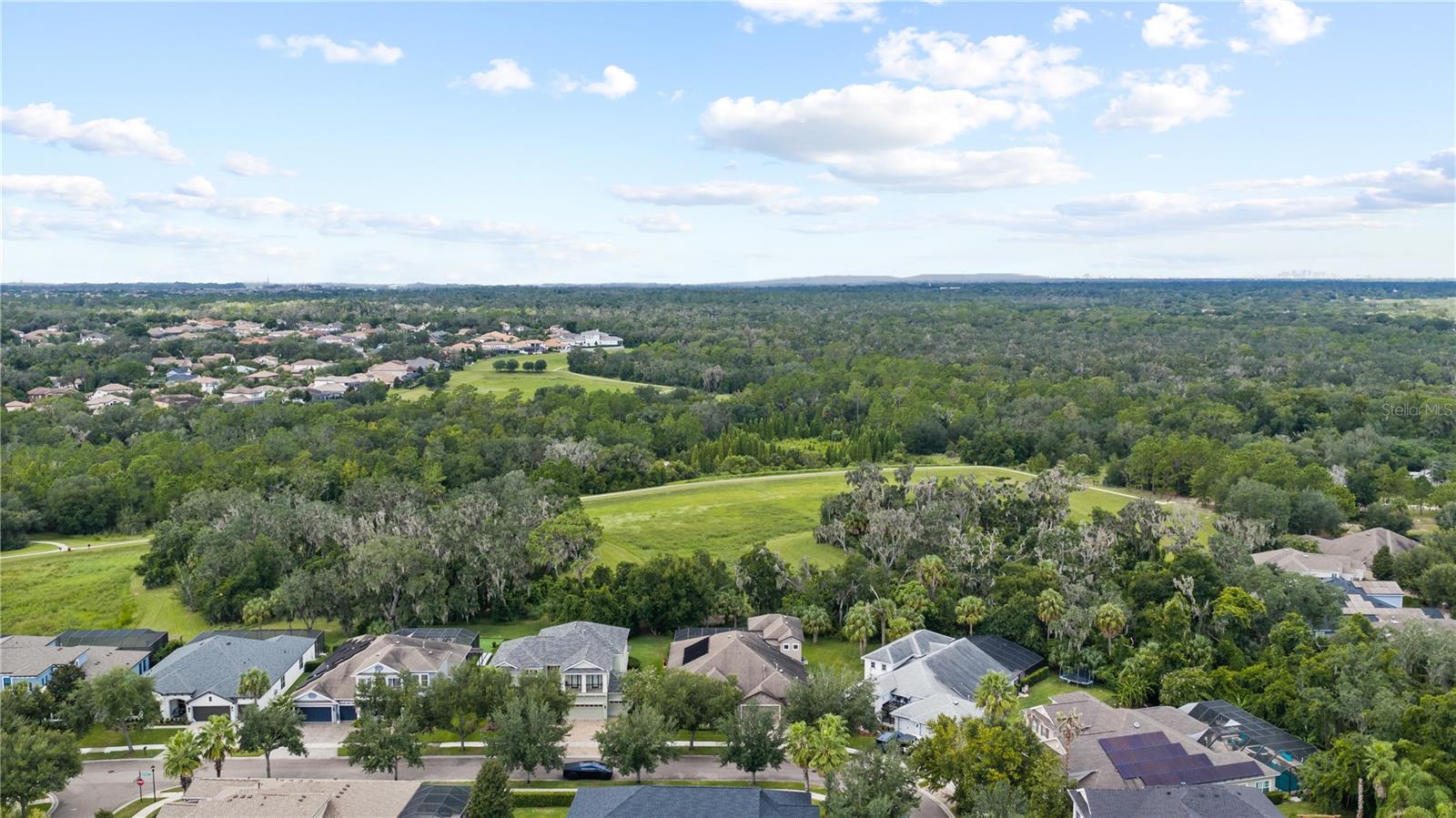 15431 Starling Crossing Dr Property Photo 81