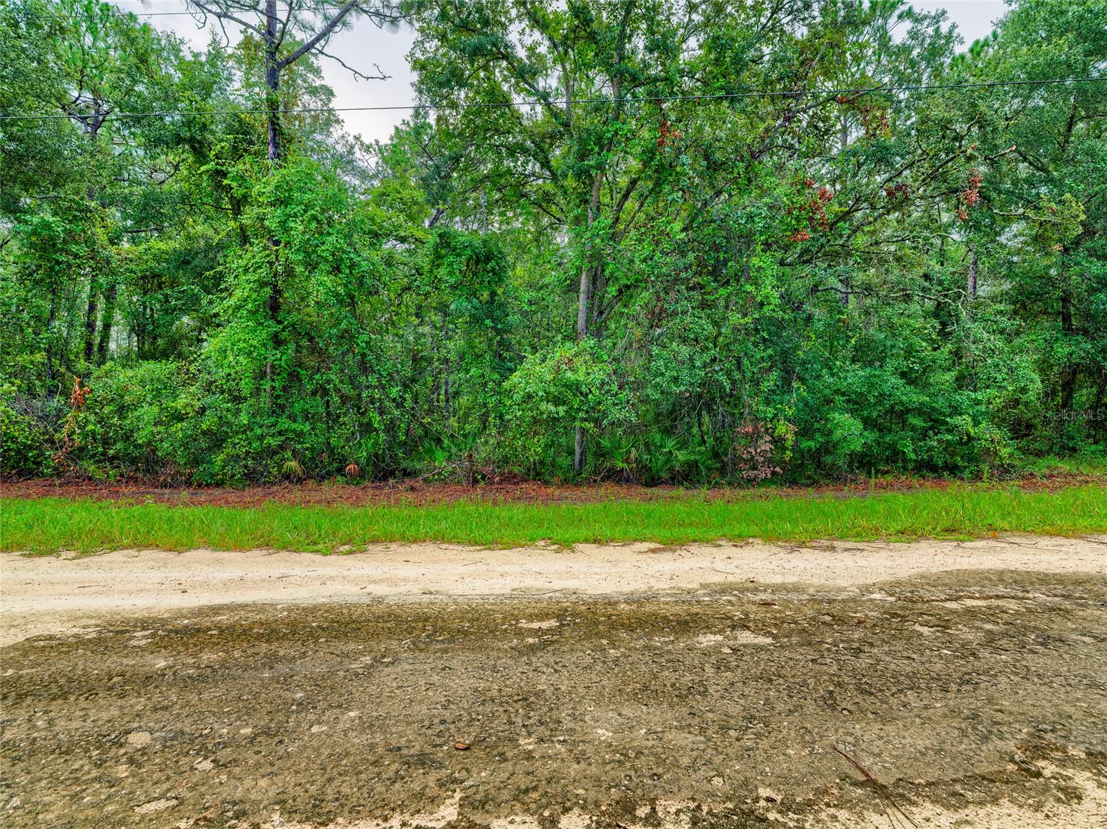 6342 Karwich Ave Property Photo 4