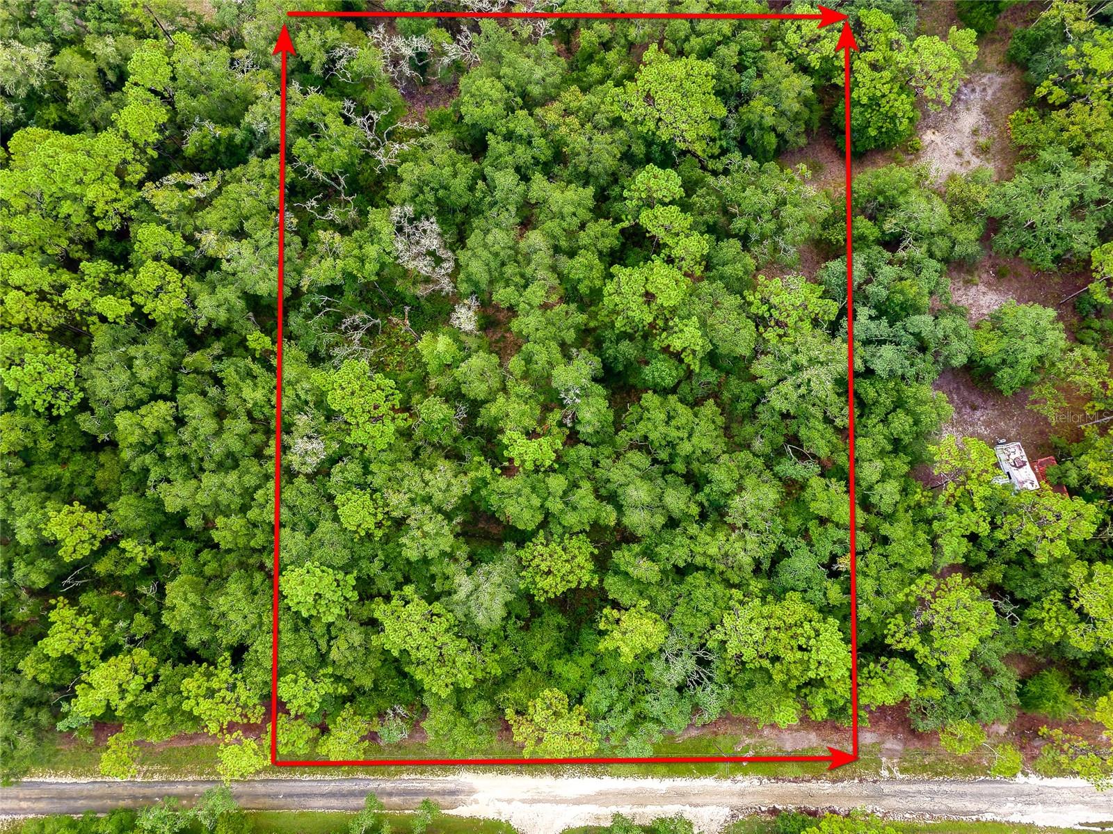 6342 Karwich Ave Property Photo 5