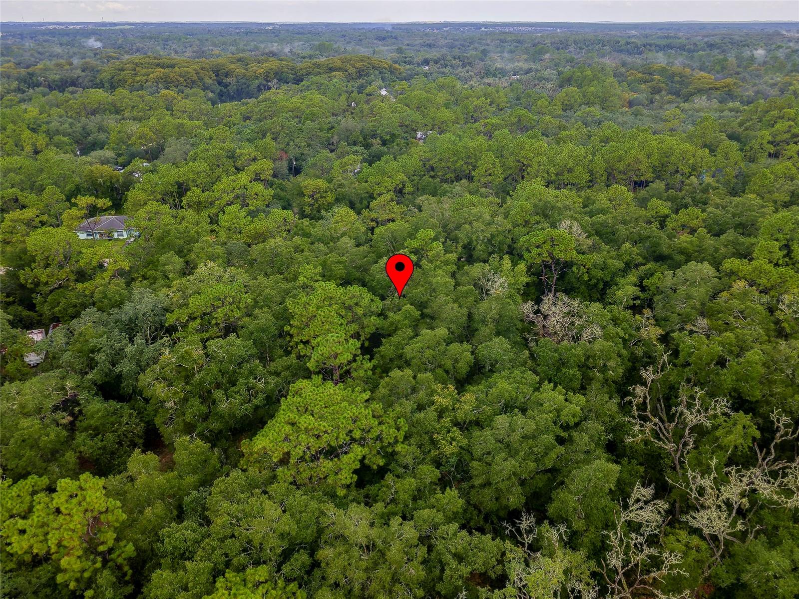 6342 Karwich Ave Property Photo 6