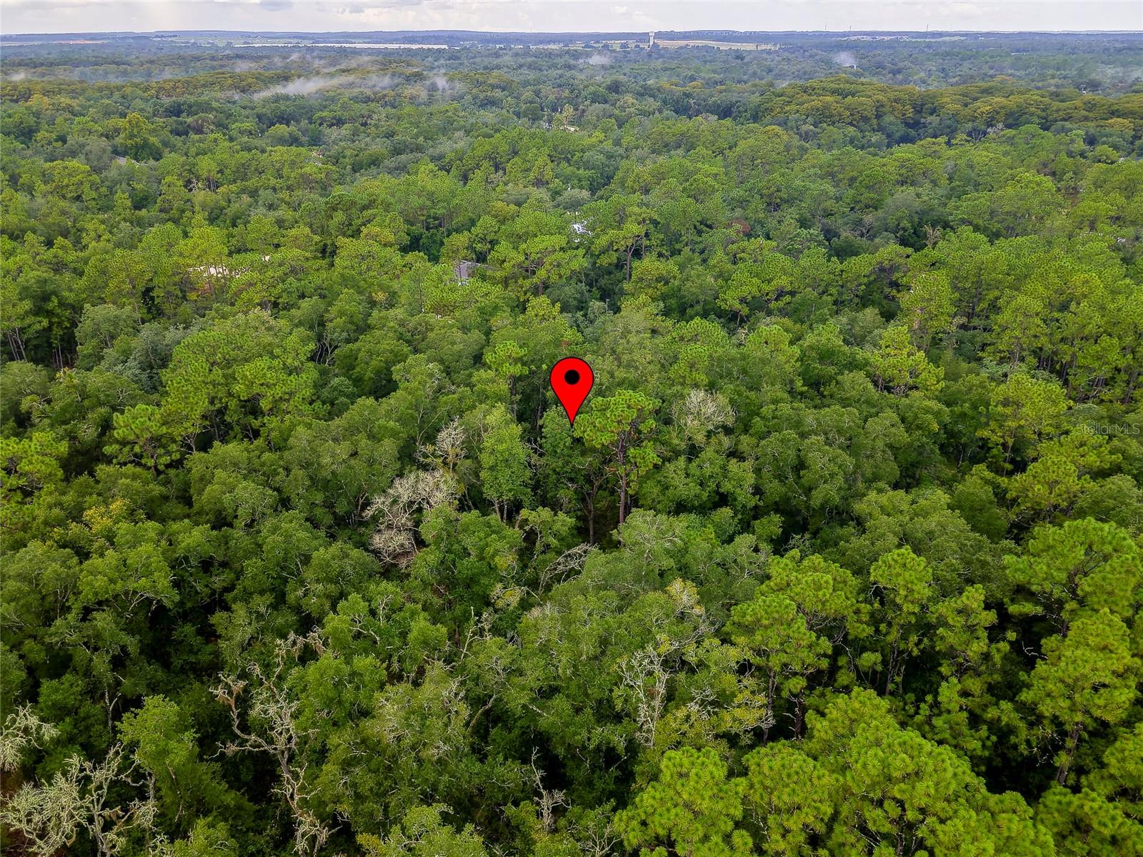 6342 Karwich Ave Property Photo 8