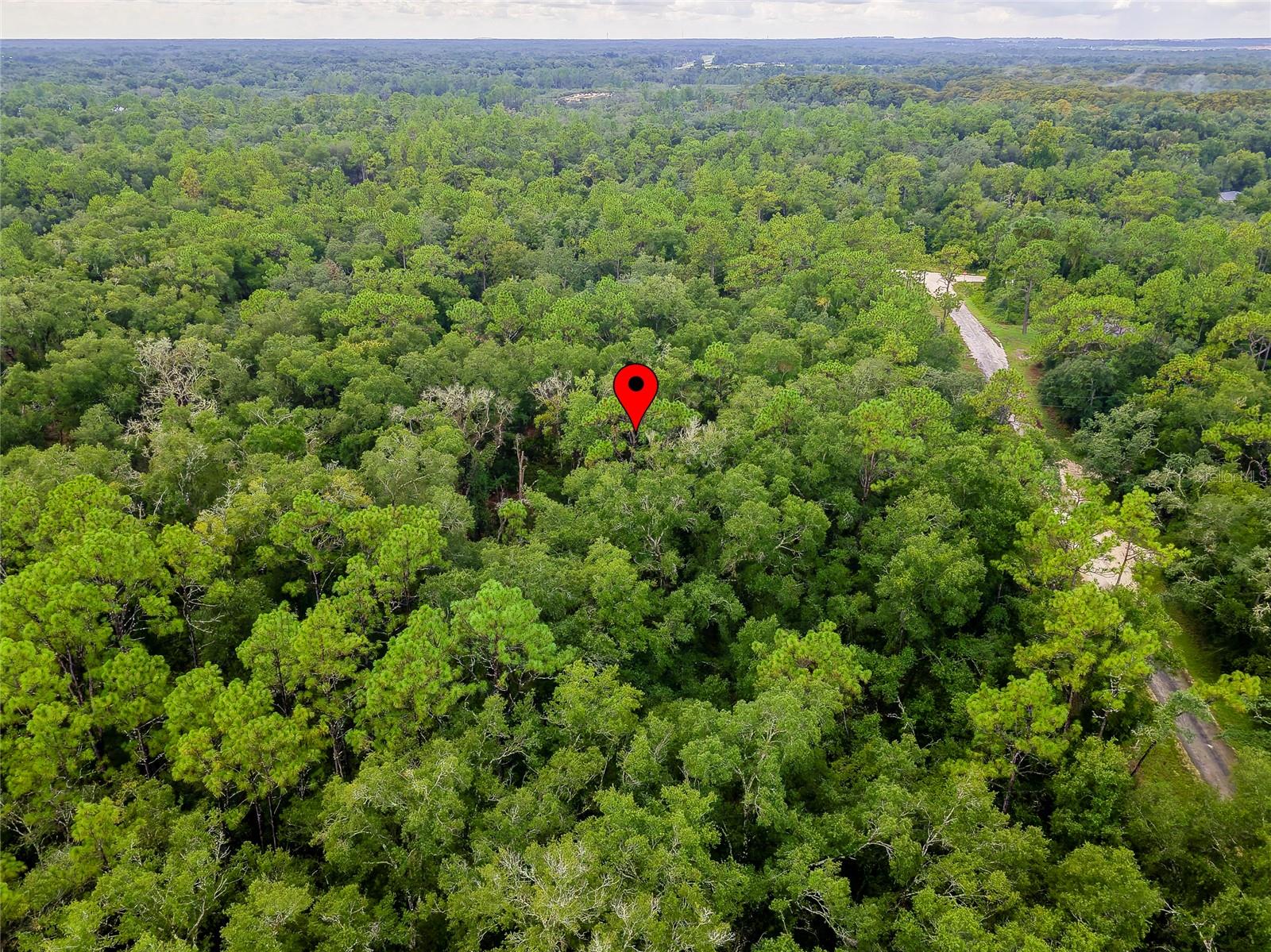 6342 Karwich Ave Property Photo 10