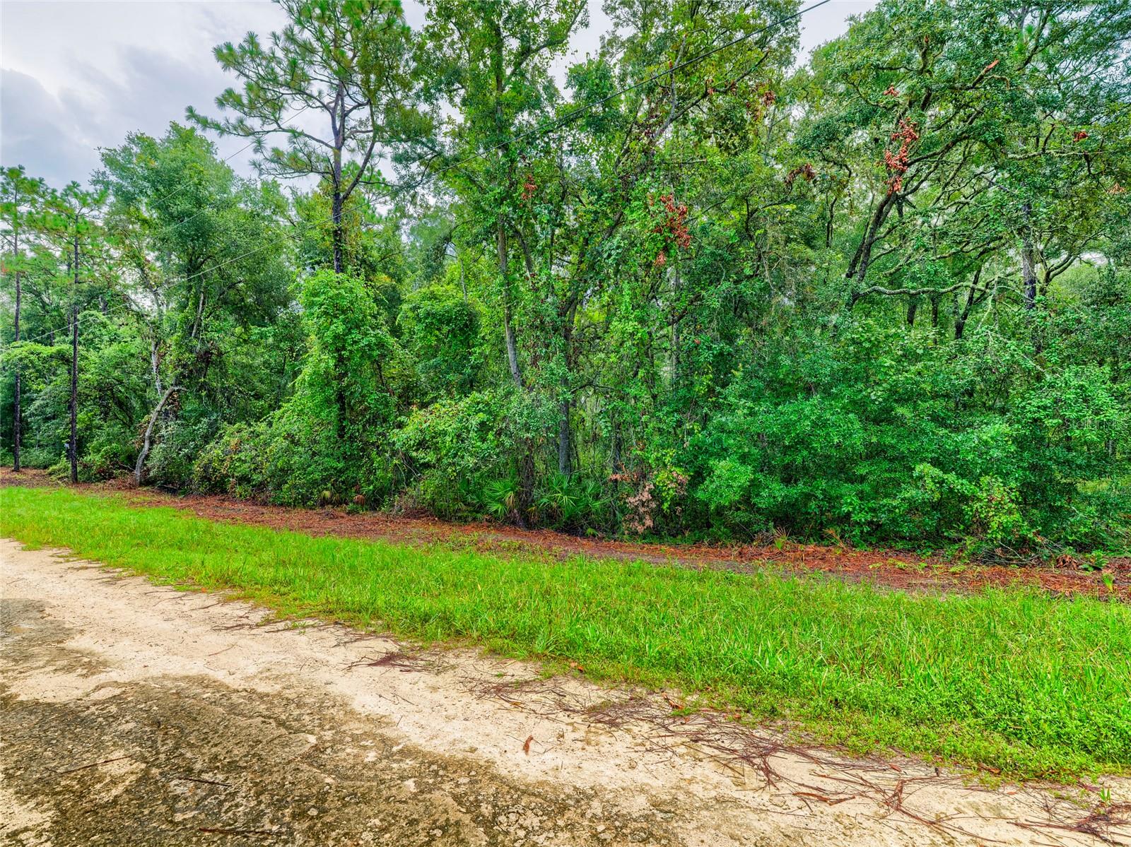 6342 Karwich Ave Property Photo 12