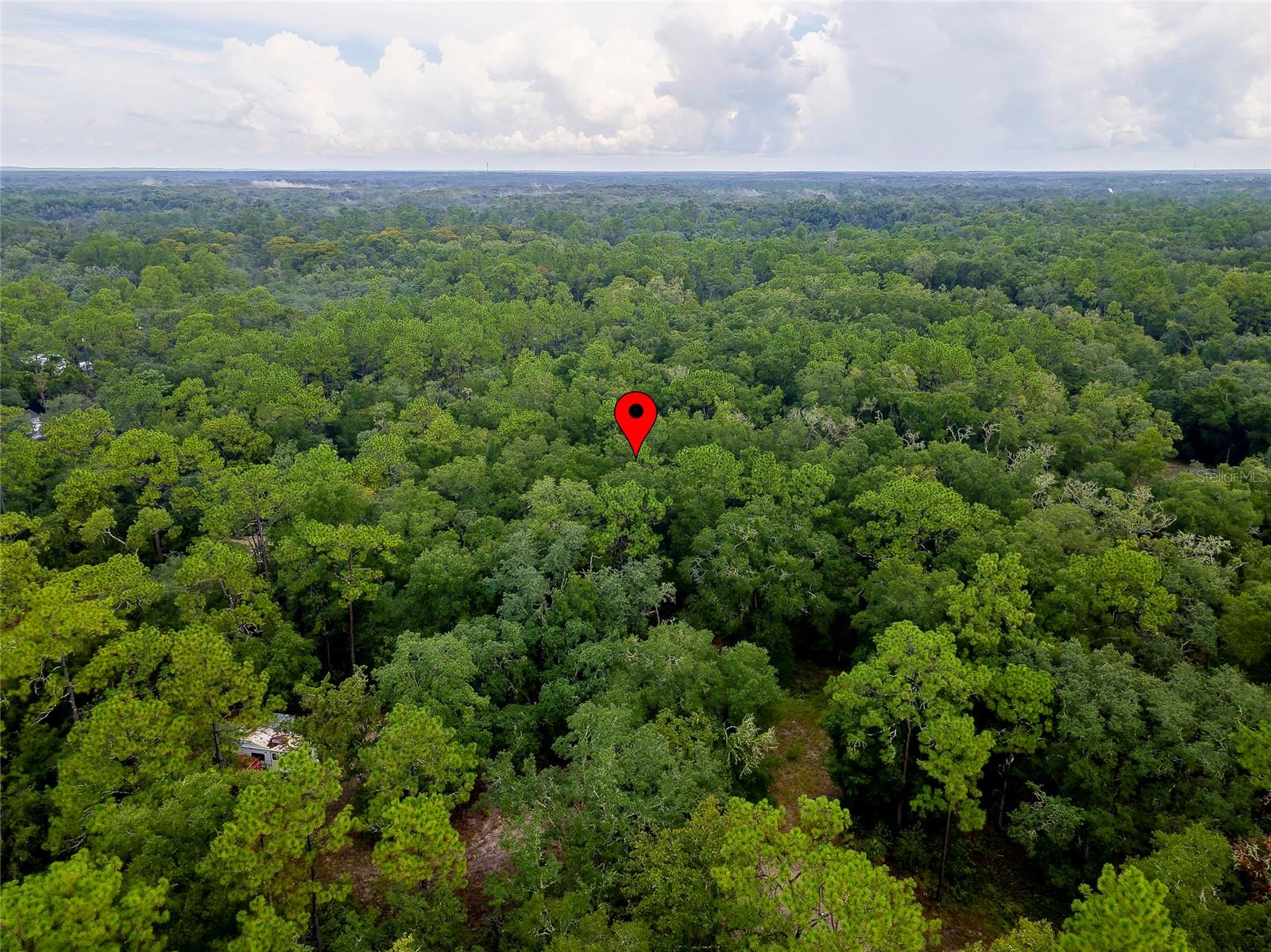 6342 Karwich Ave Property Photo 16