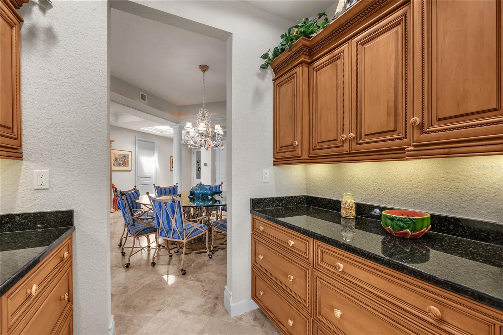 16300 Gulf Blvd #500a Property Photo 15