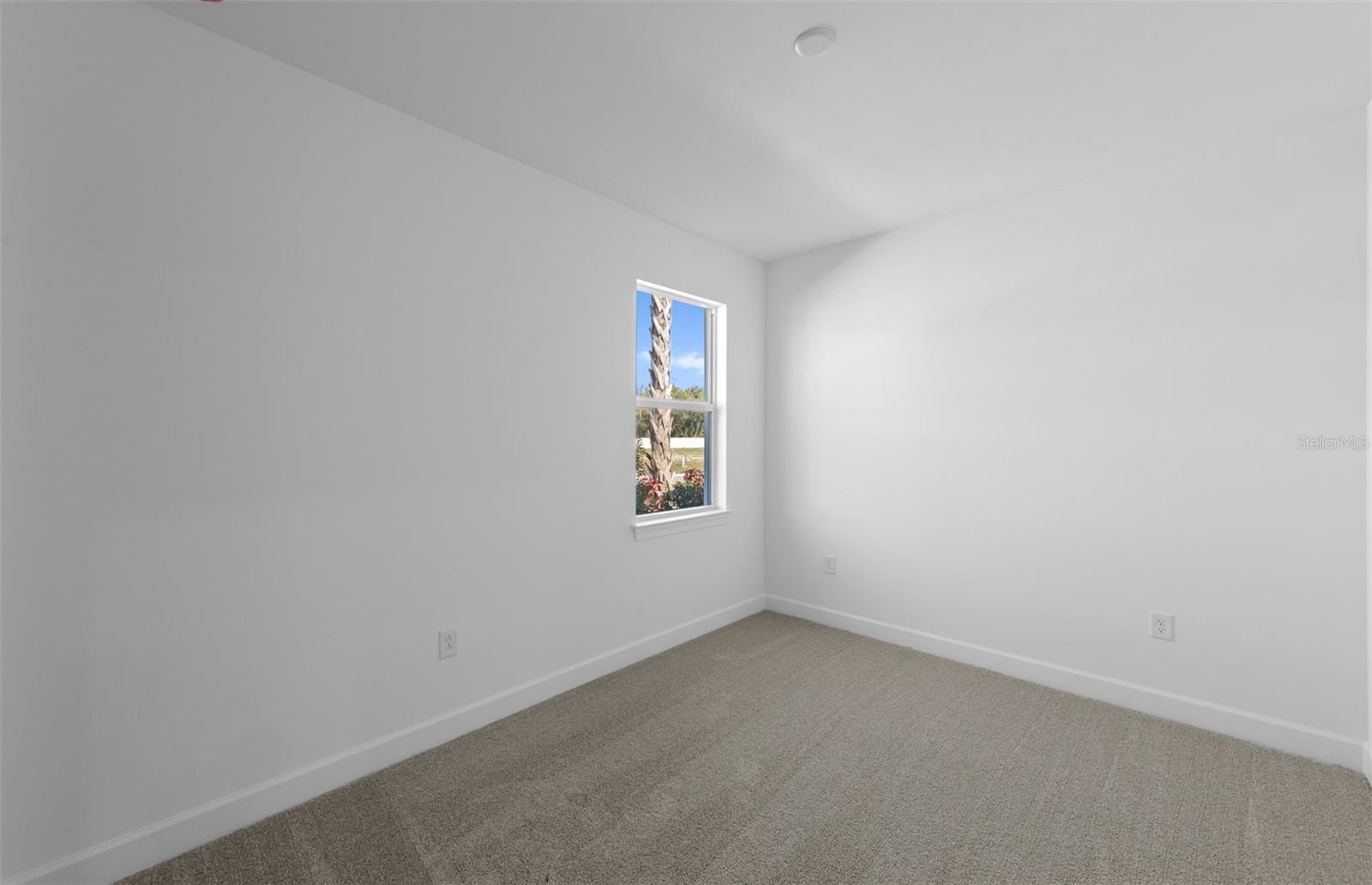 17086 Moonflower Dr Property Photo 4