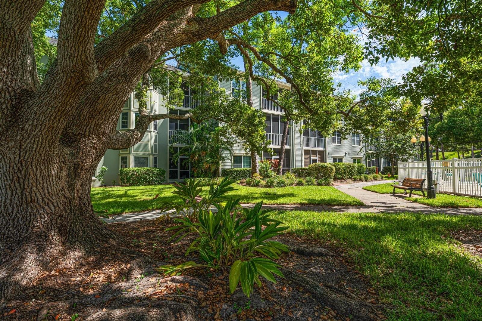 330 Promenade Dr #206 Property Photo 18