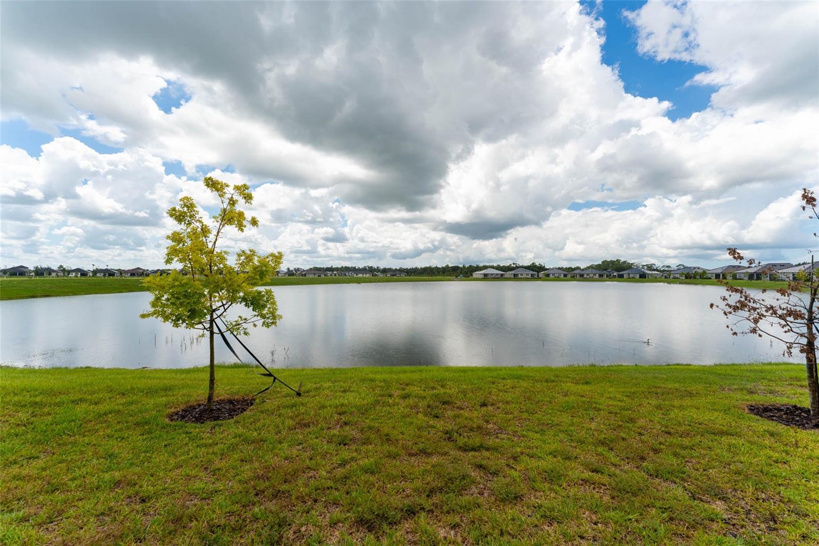 12592 Lily Quartz Loop Property Photo 47