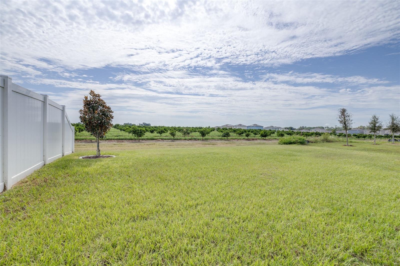 2081 Golden Beak Dr Property Photo 37