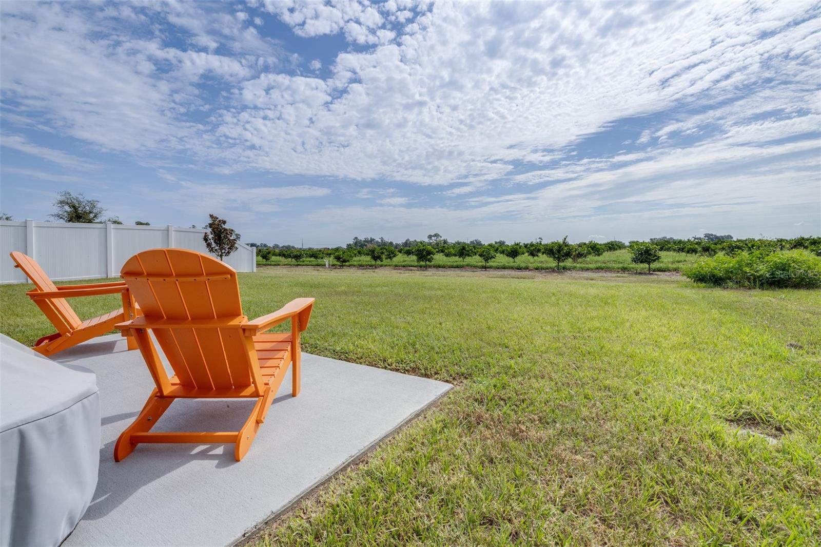 2081 Golden Beak Dr Property Photo 39