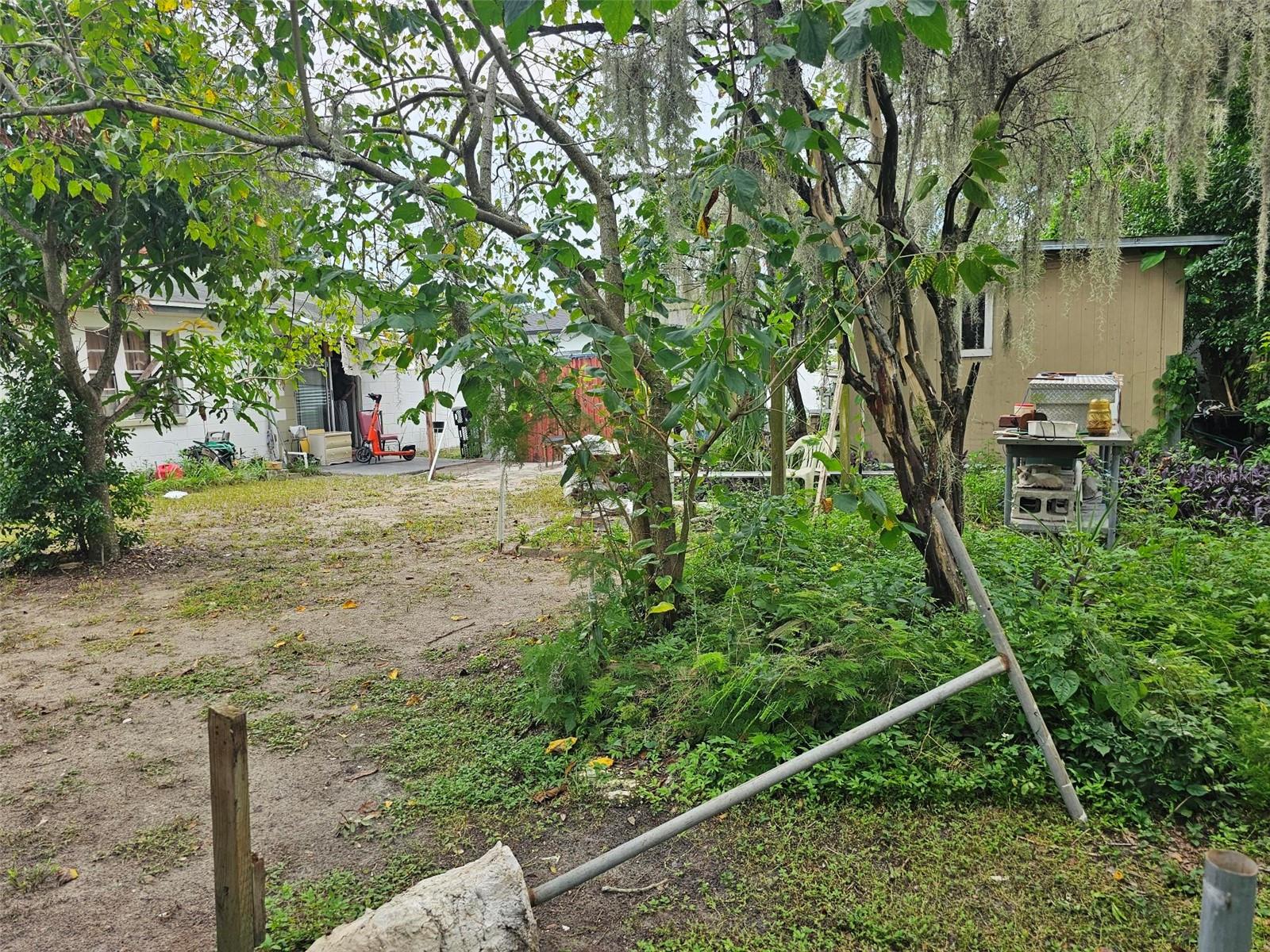 4009 E Clifton St Property Photo 12