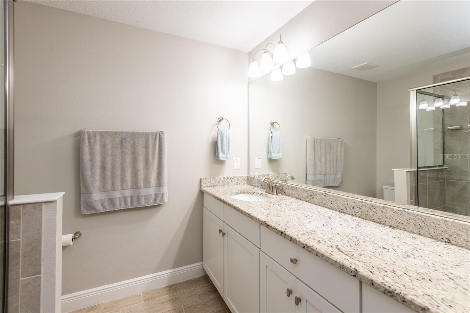 17847 Althea Blue Pl Property Photo 22