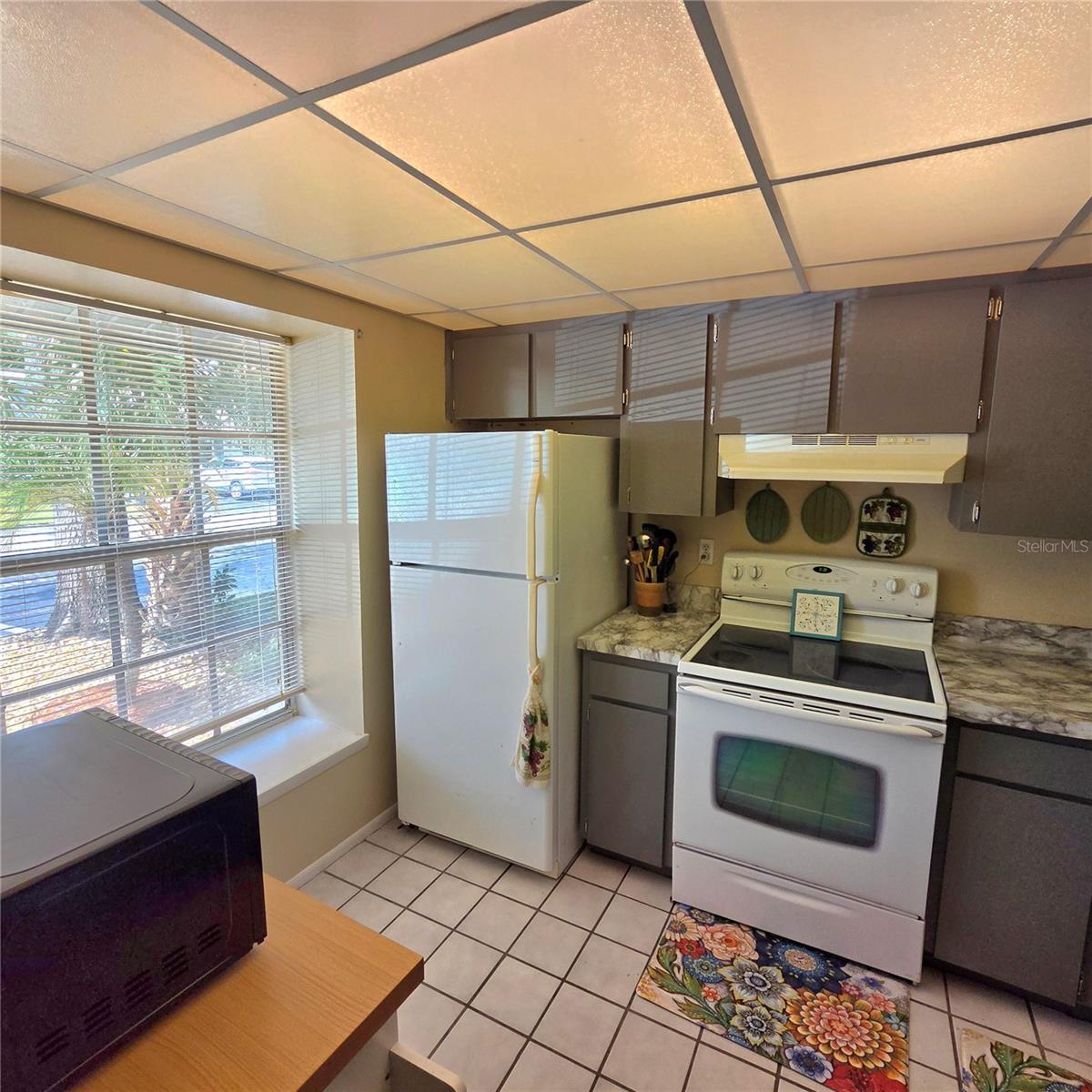 7249 Parkside Villas Dr N Property Photo 8