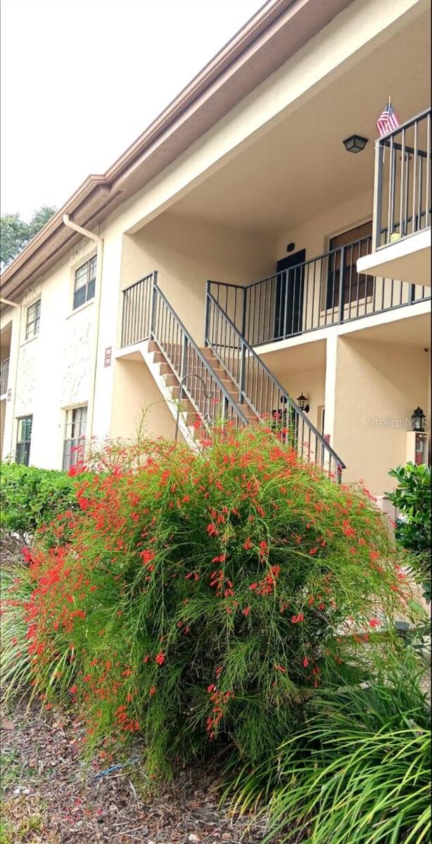 1702 Seascape Cir #203 Property Photo 1
