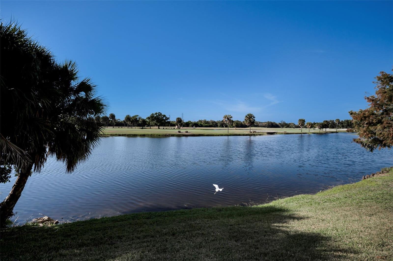 1200 Country Club Dr #5101 Property Photo 71