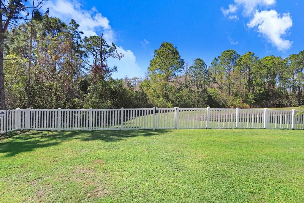 8721 Savory Walk Dr Property Photo 58