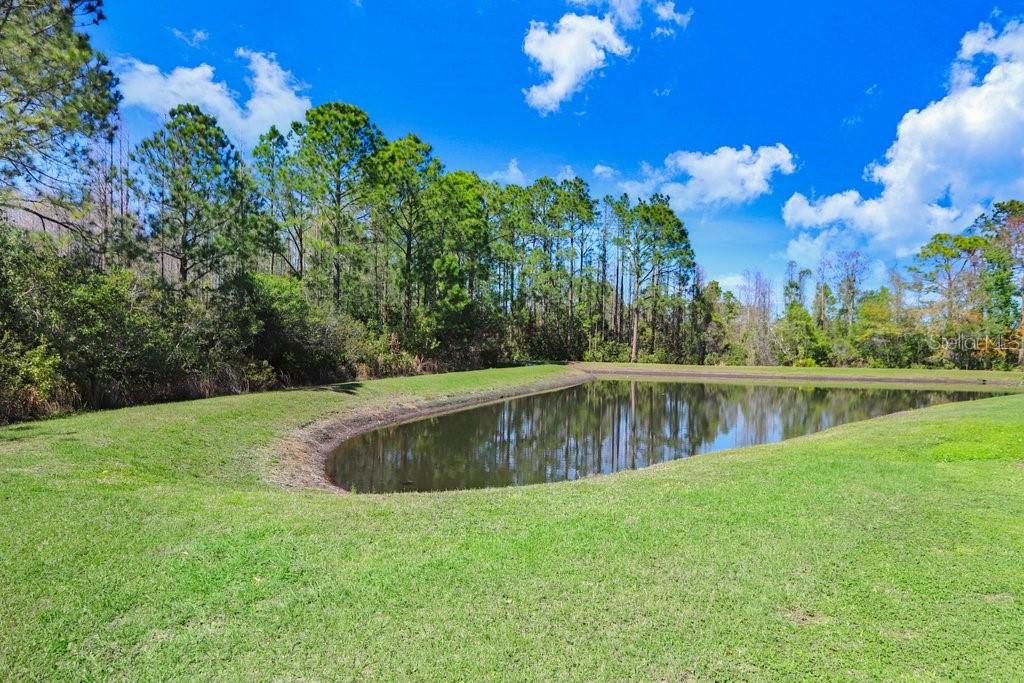 8721 Savory Walk Dr Property Photo 60