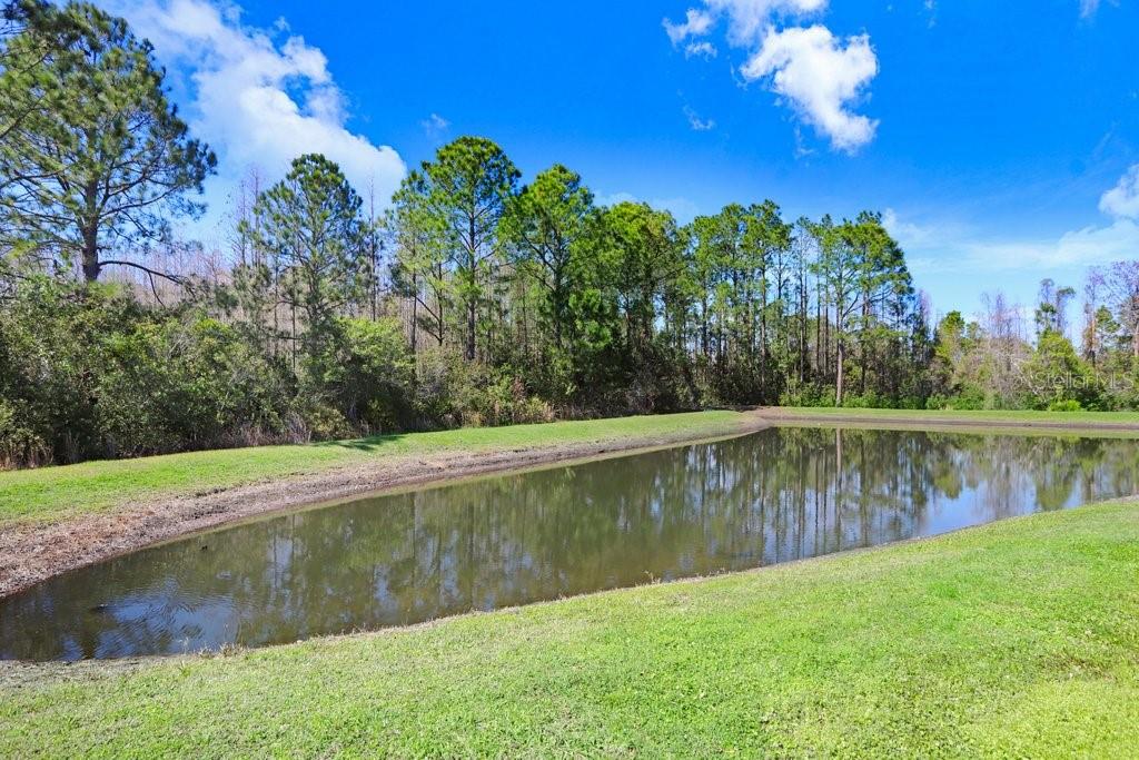 8721 Savory Walk Dr Property Photo 63