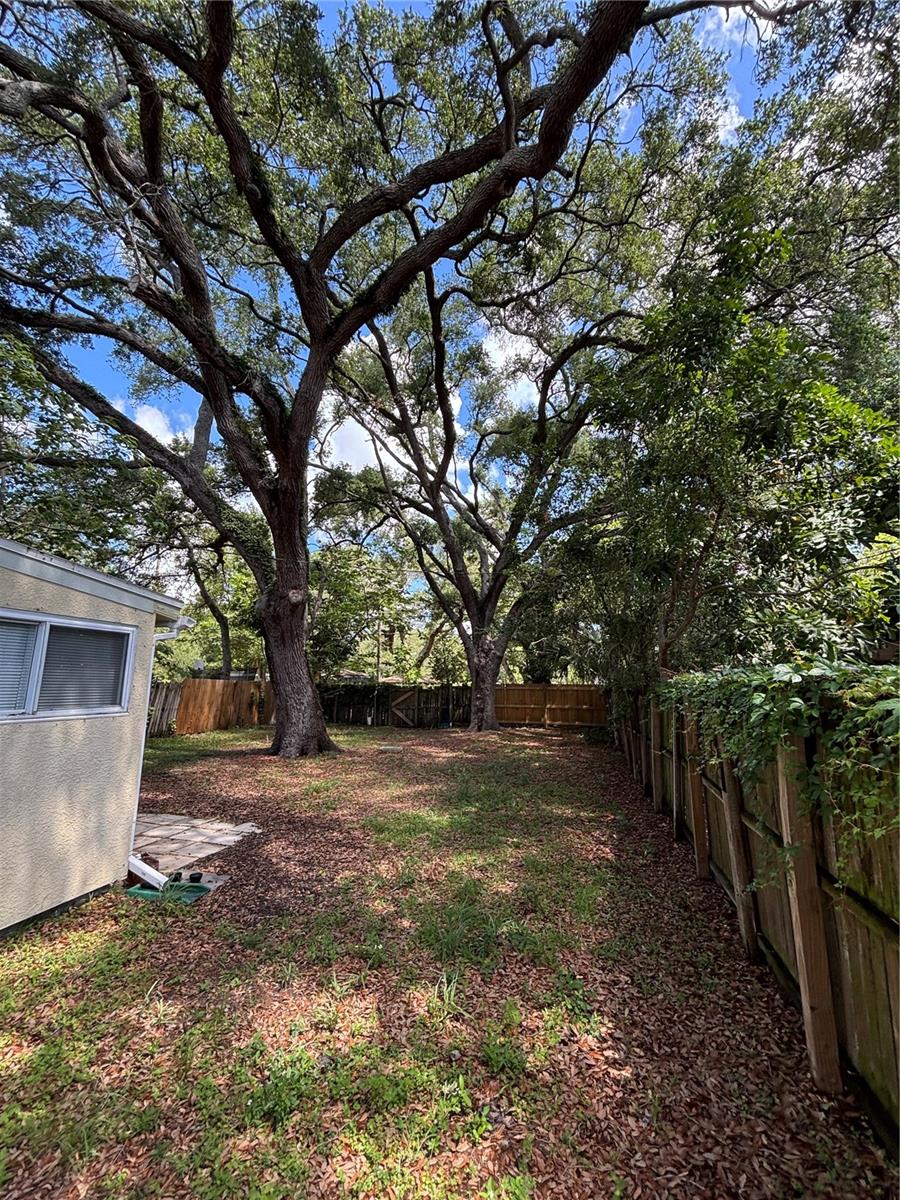 5135 39th Ave N Property Photo 11