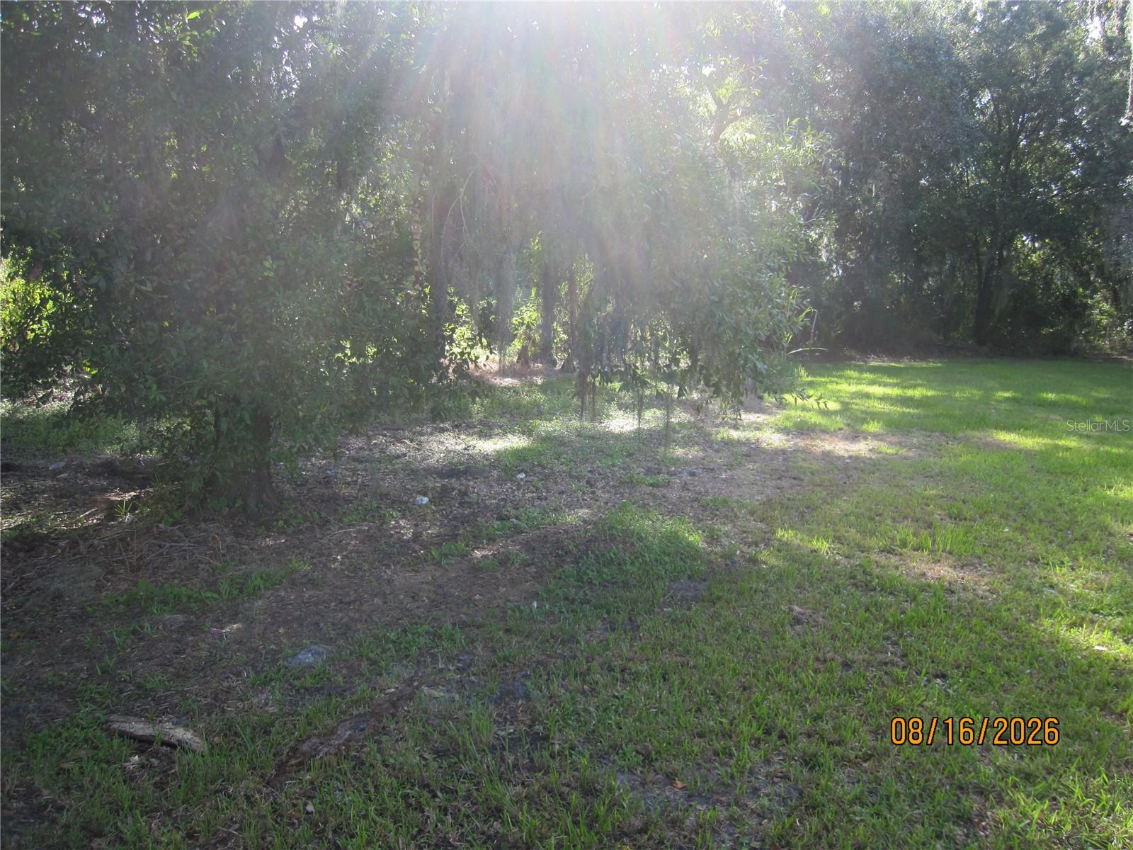 3216 Jack Jones Rd Property Photo 18