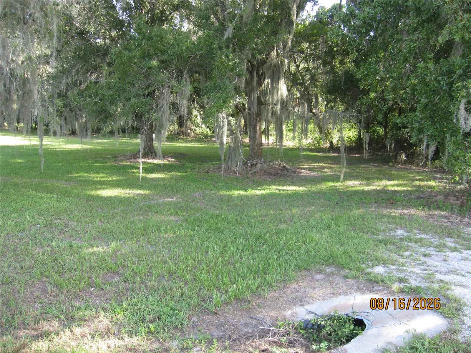 3216 Jack Jones Rd Property Photo 20