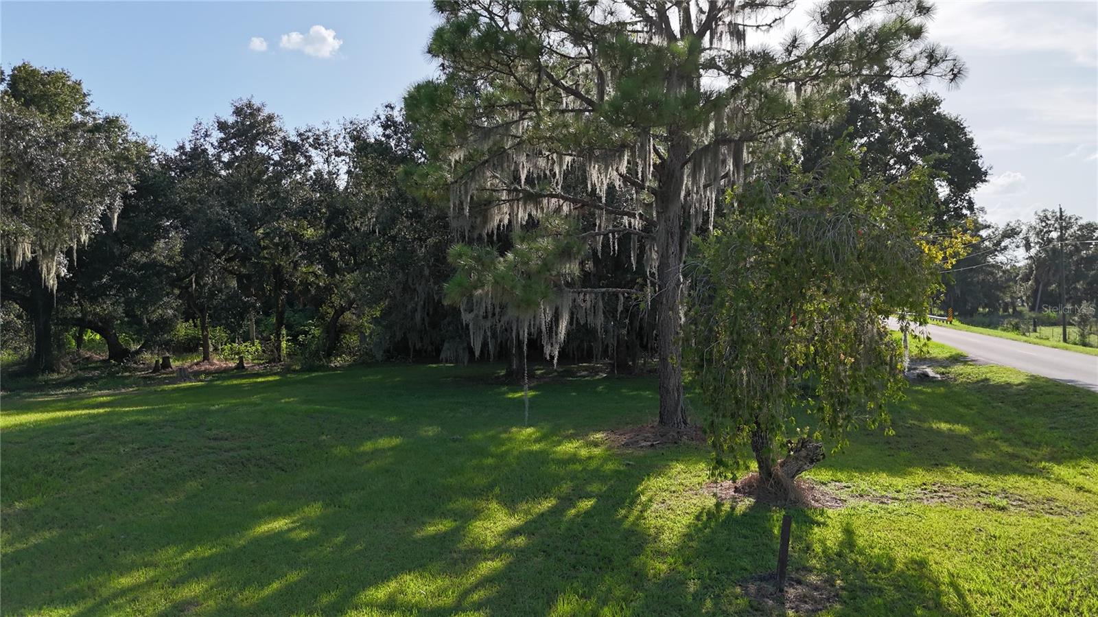 3216 Jack Jones Rd Property Photo 21