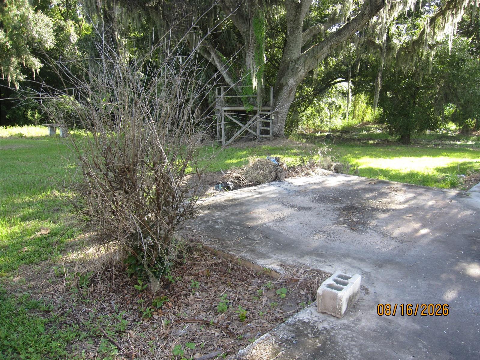 3216 Jack Jones Rd Property Photo 22