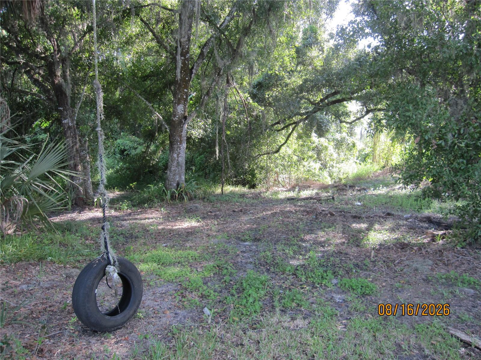 3216 Jack Jones Rd Property Photo 24