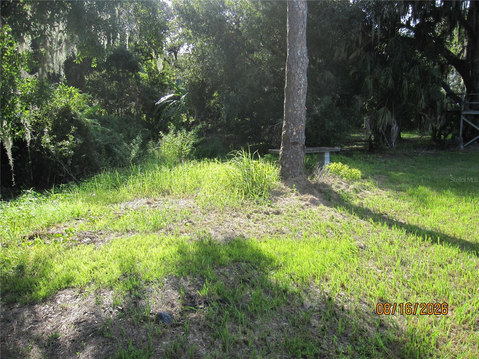3216 Jack Jones Rd Property Photo 26