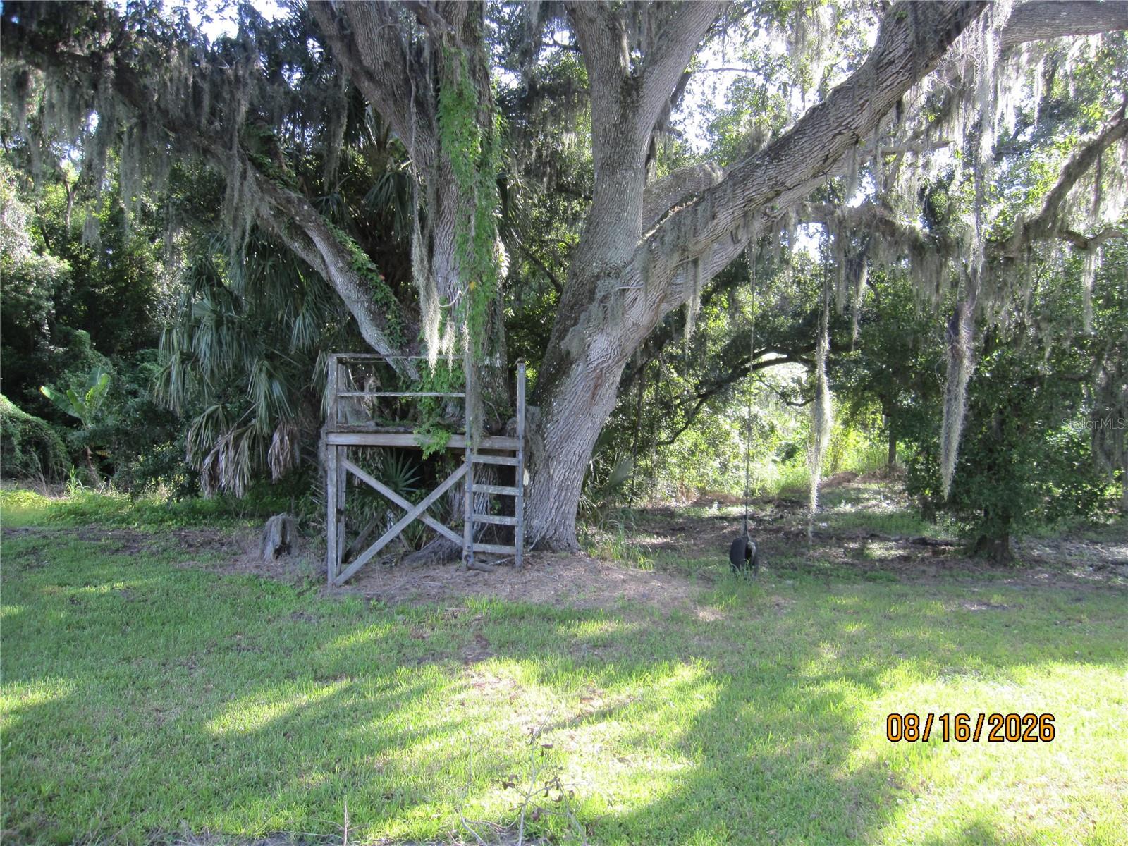 3216 Jack Jones Rd Property Photo 30