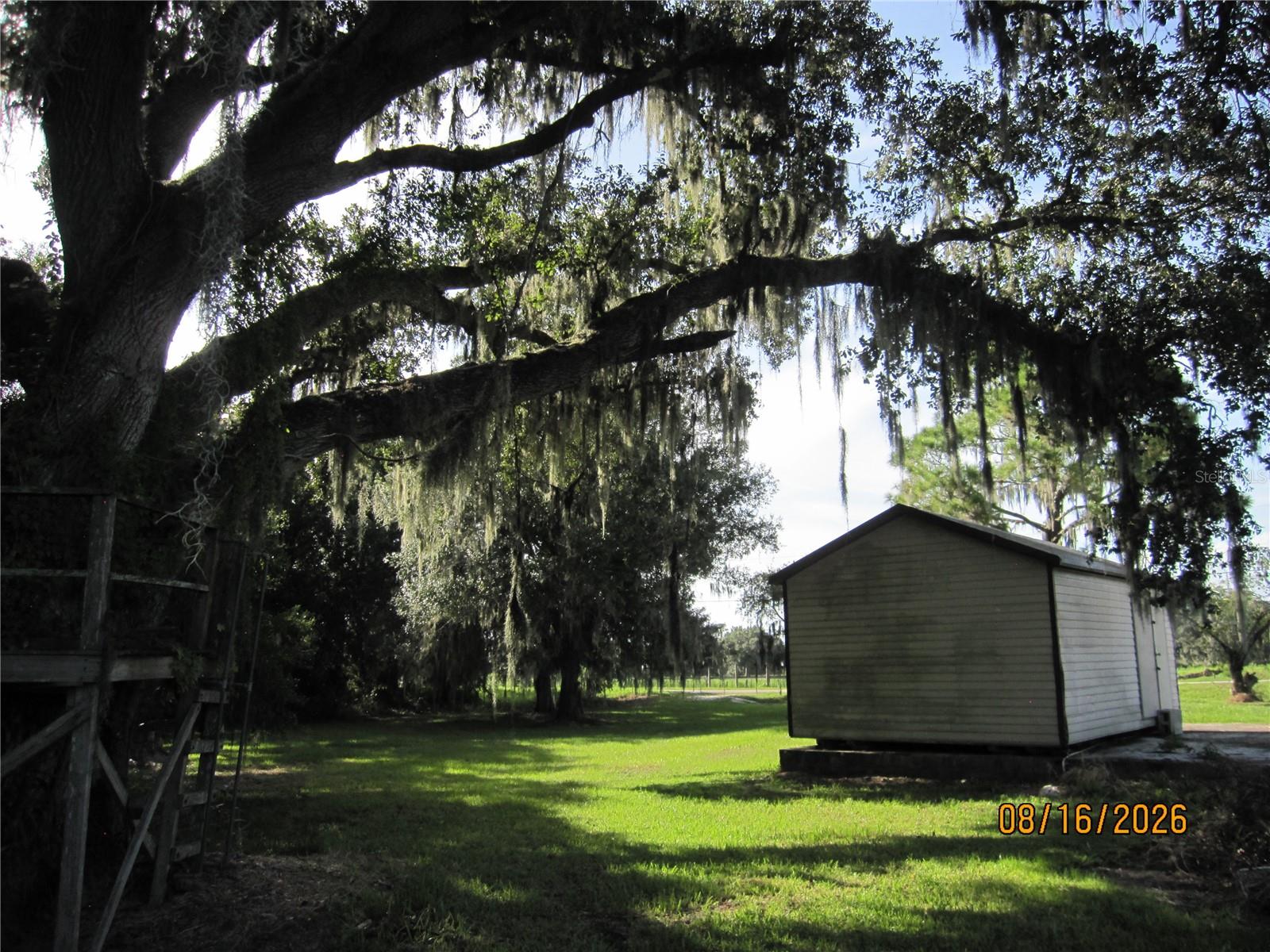 3216 Jack Jones Rd Property Photo 32