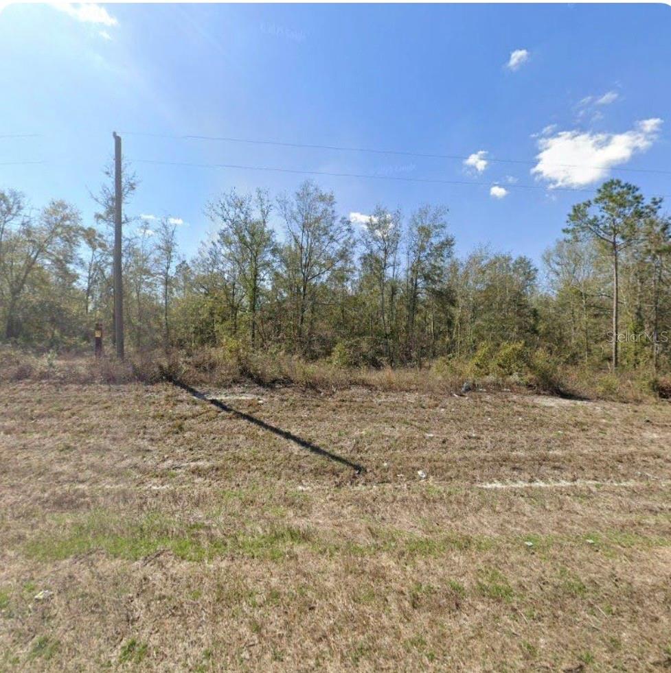0 County Road 49 Property Photo 1