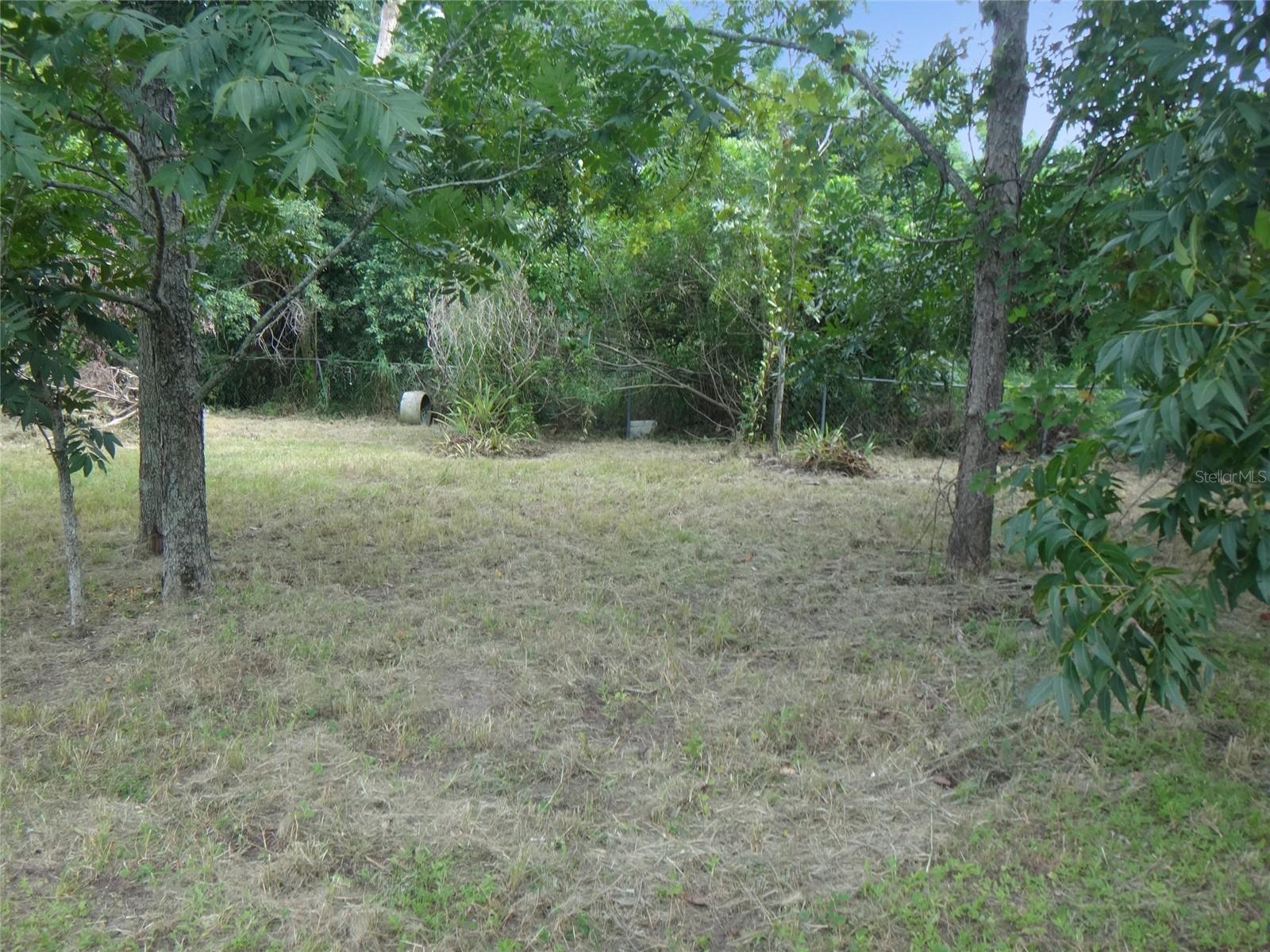 1125 Britts Ln Property Photo 19
