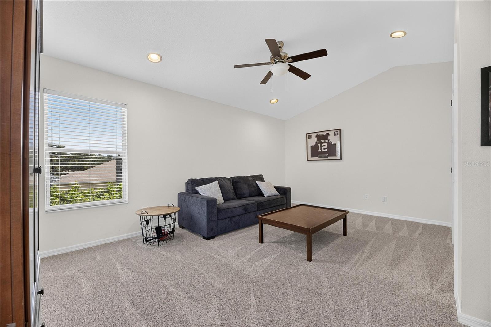 1438 Emerald Hill Way Property Photo 29
