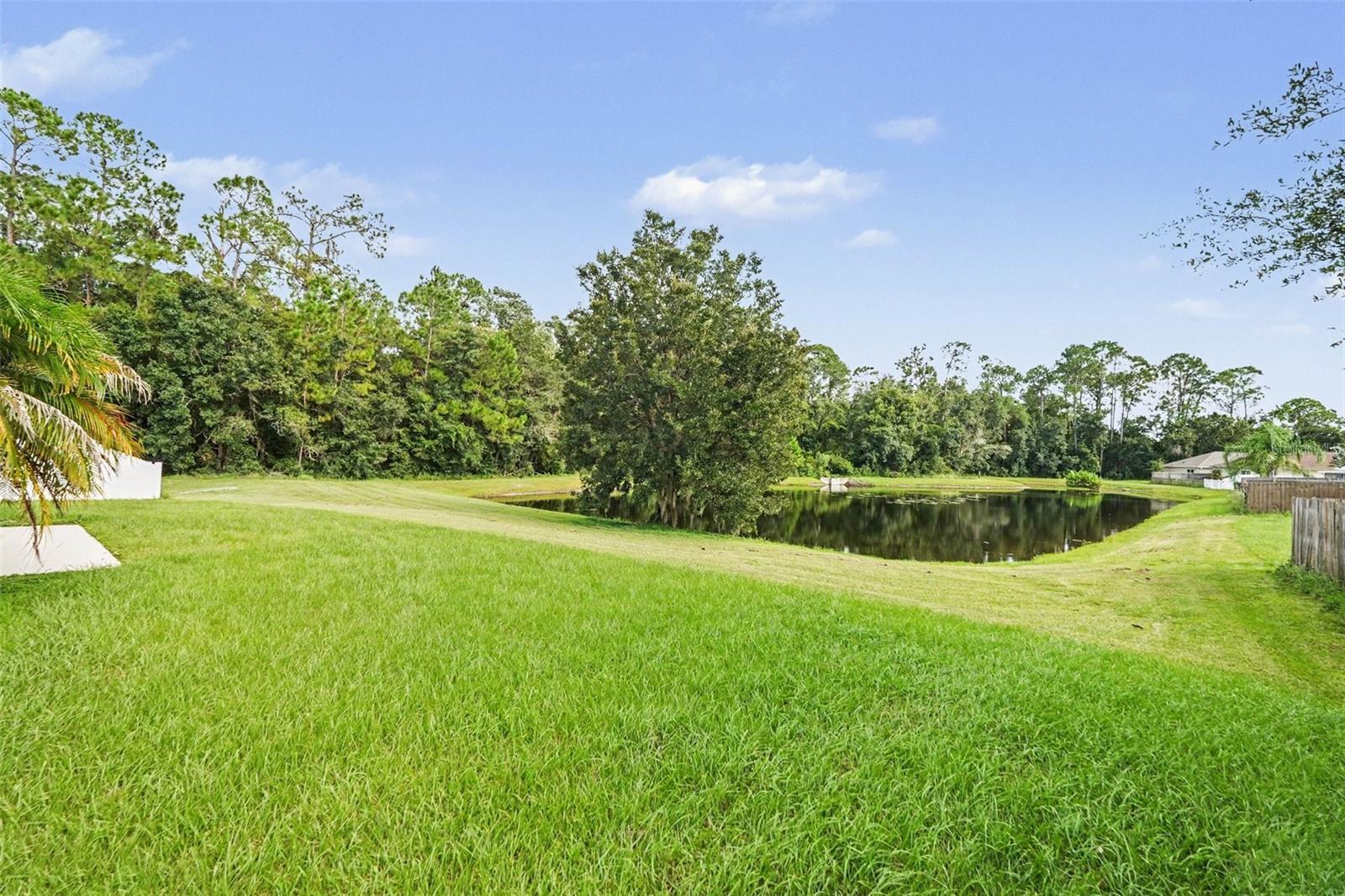 30346 Rattana Ct Property Photo 26