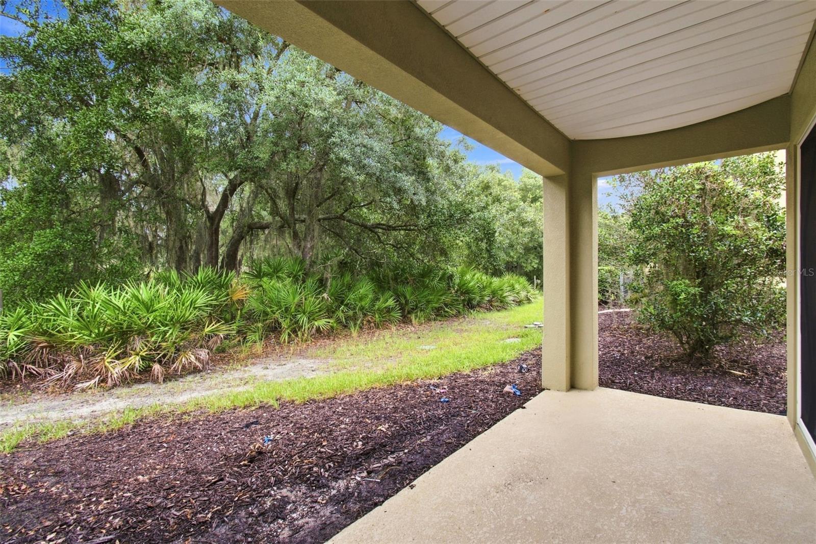 8574 Trail Wind Dr Property Photo 44