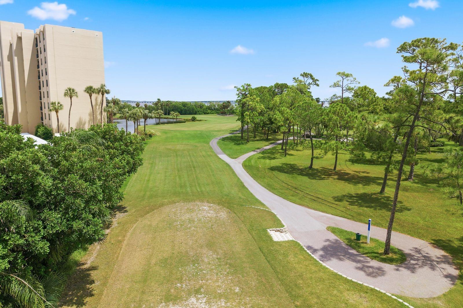 2621 Cove Cay Dr #203 Property Photo 34