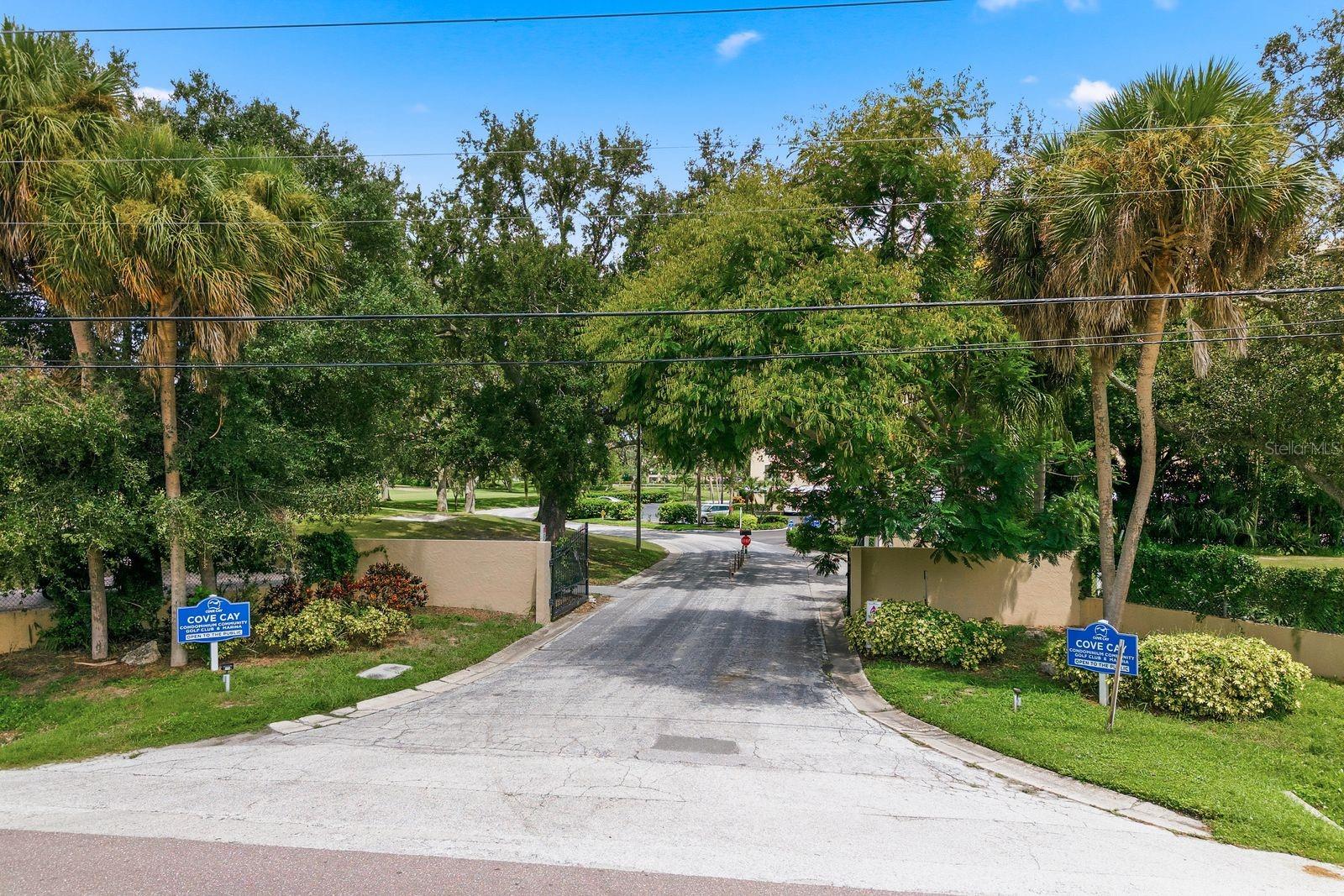 2621 Cove Cay Dr #203 Property Photo 43