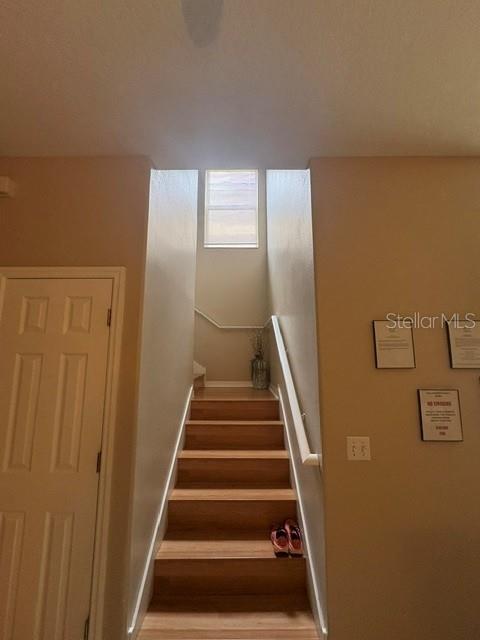 6547 Black Mangrove Dr Property Photo 7