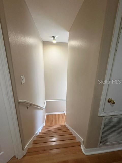 6547 Black Mangrove Dr Property Photo 8