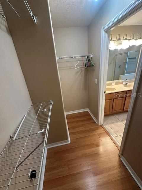 6547 Black Mangrove Dr Property Photo 12