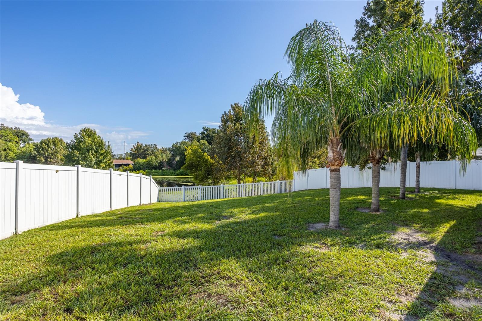 12106 Clearbrook Ct Property Photo 17