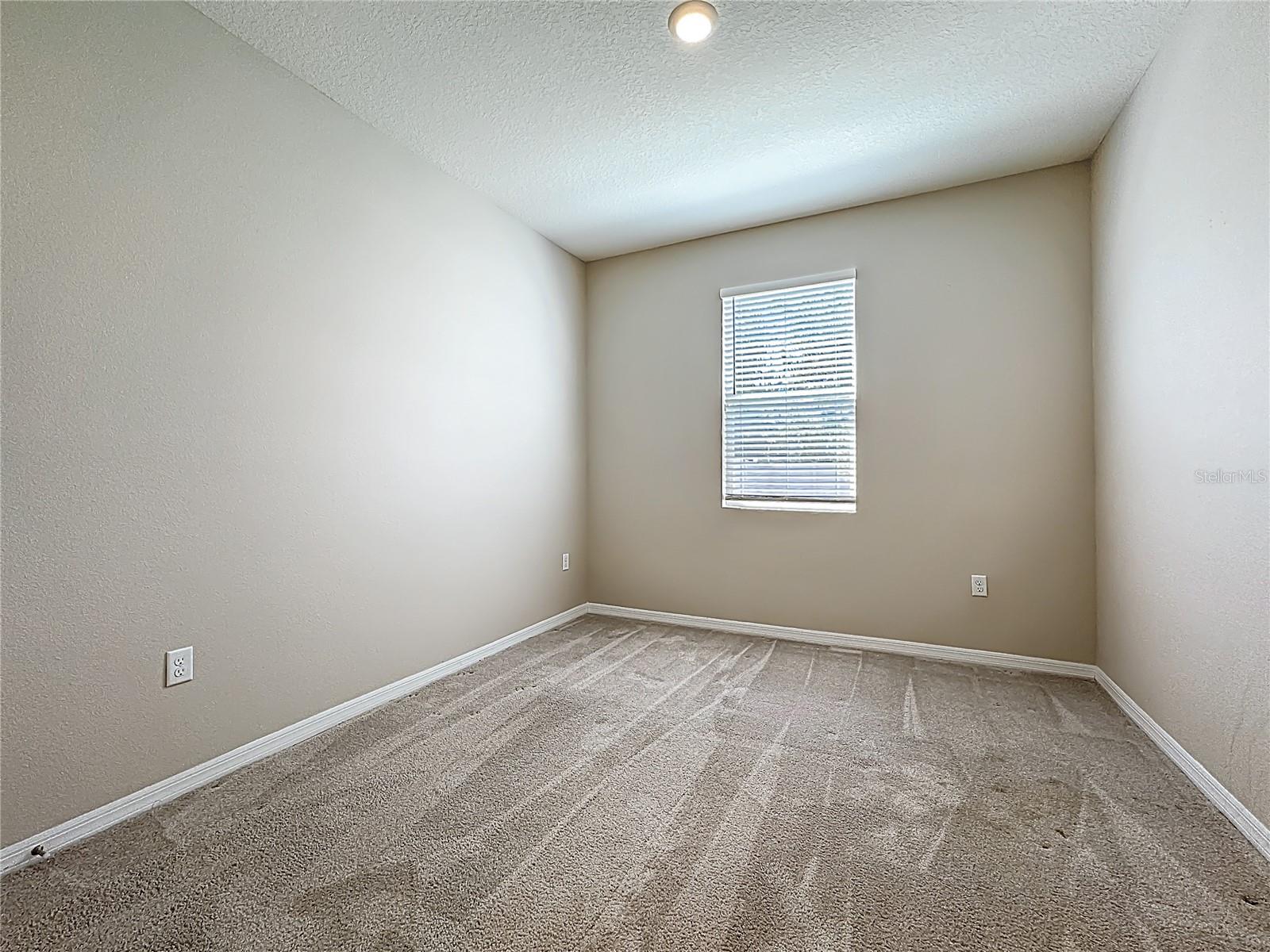 13071 Brookside Moss Dr Property Photo 37