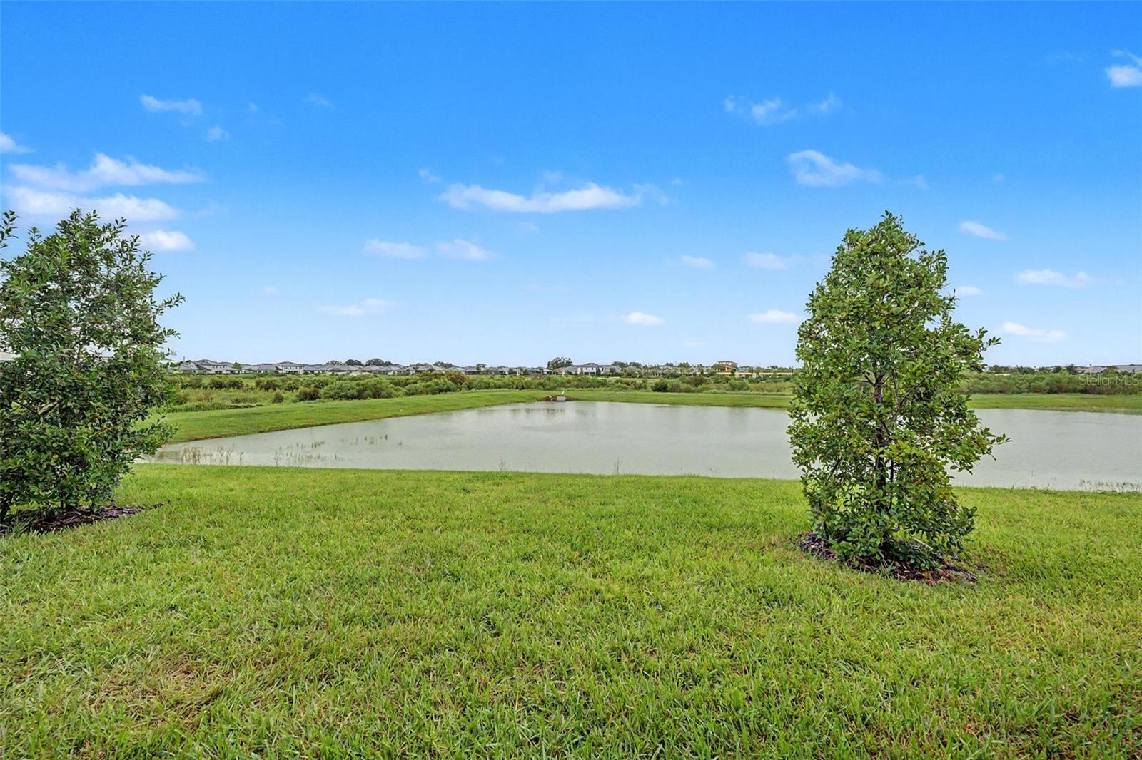 32172 Cannon Rush Dr Property Photo 3
