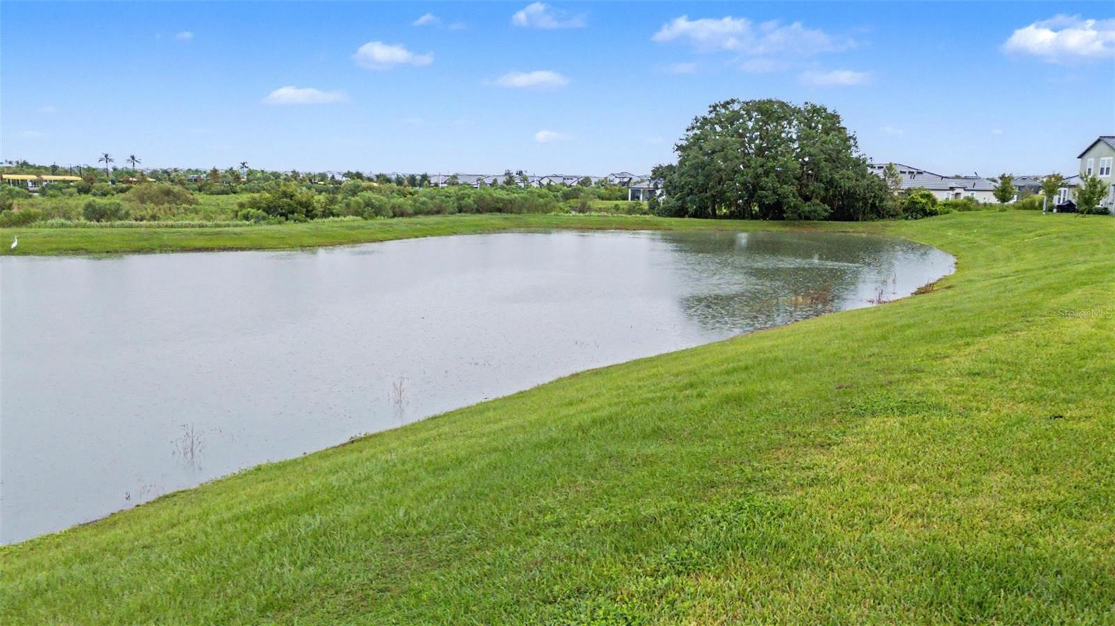 32172 Cannon Rush Dr Property Photo 29