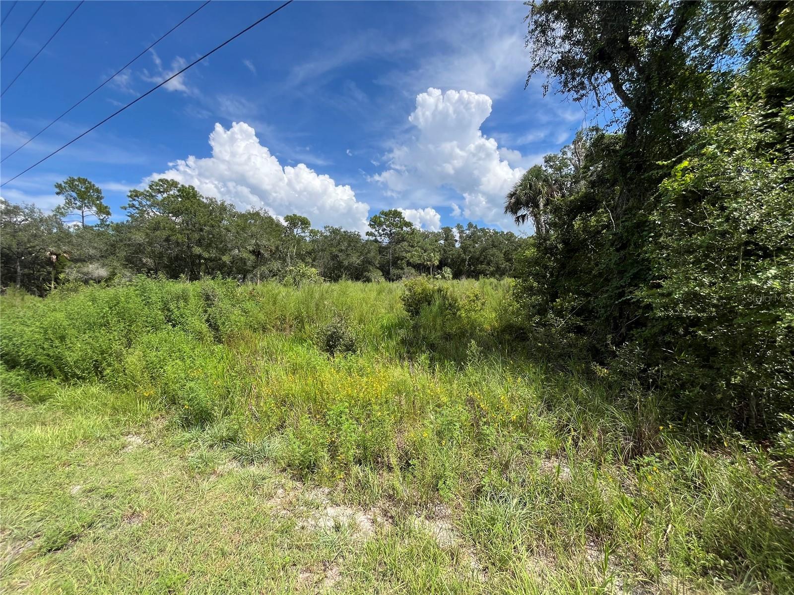 12362 W Riverwood Dr Property Photo 2