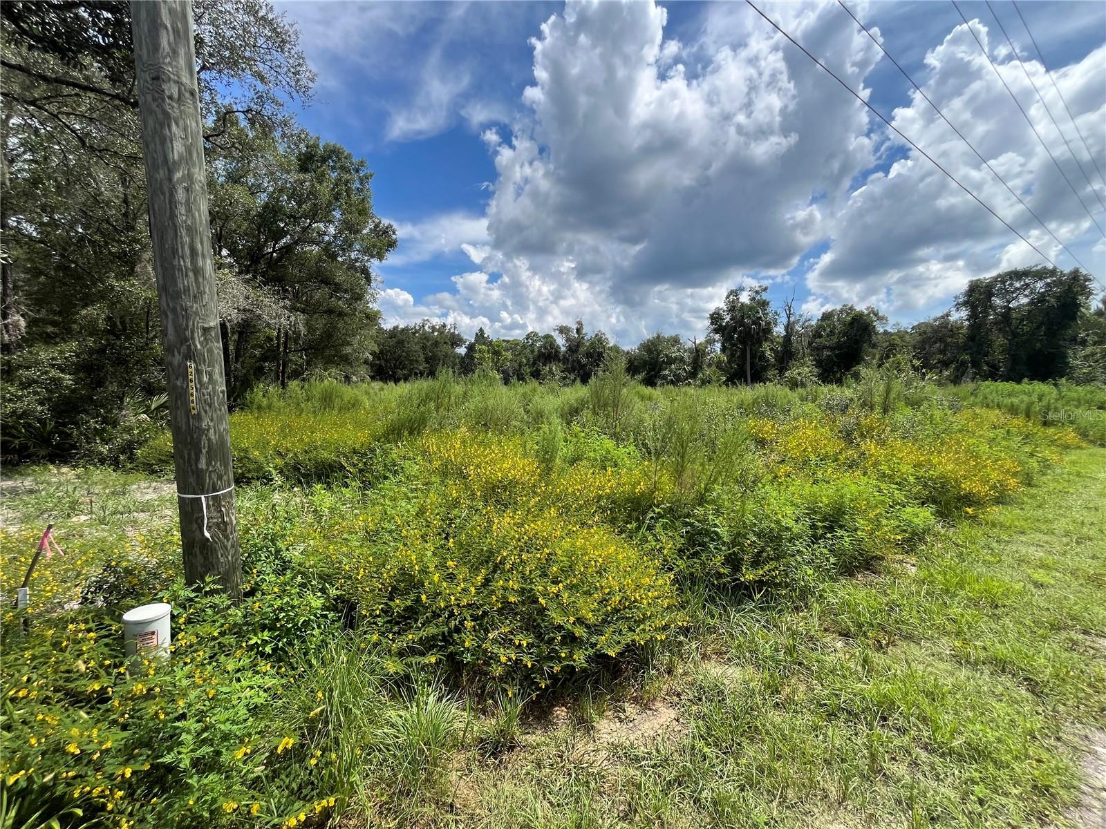 12362 W Riverwood Dr Property Photo 3