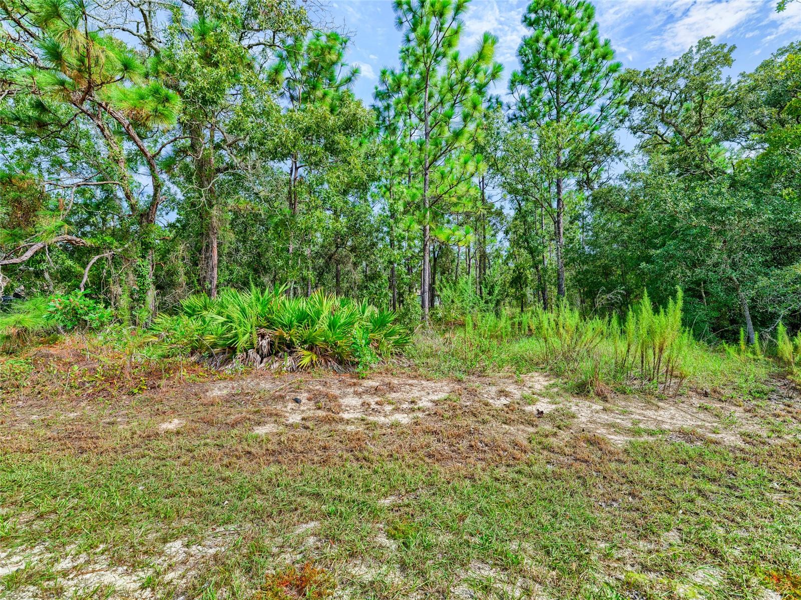 13233 English Fir Ct Property Photo 3