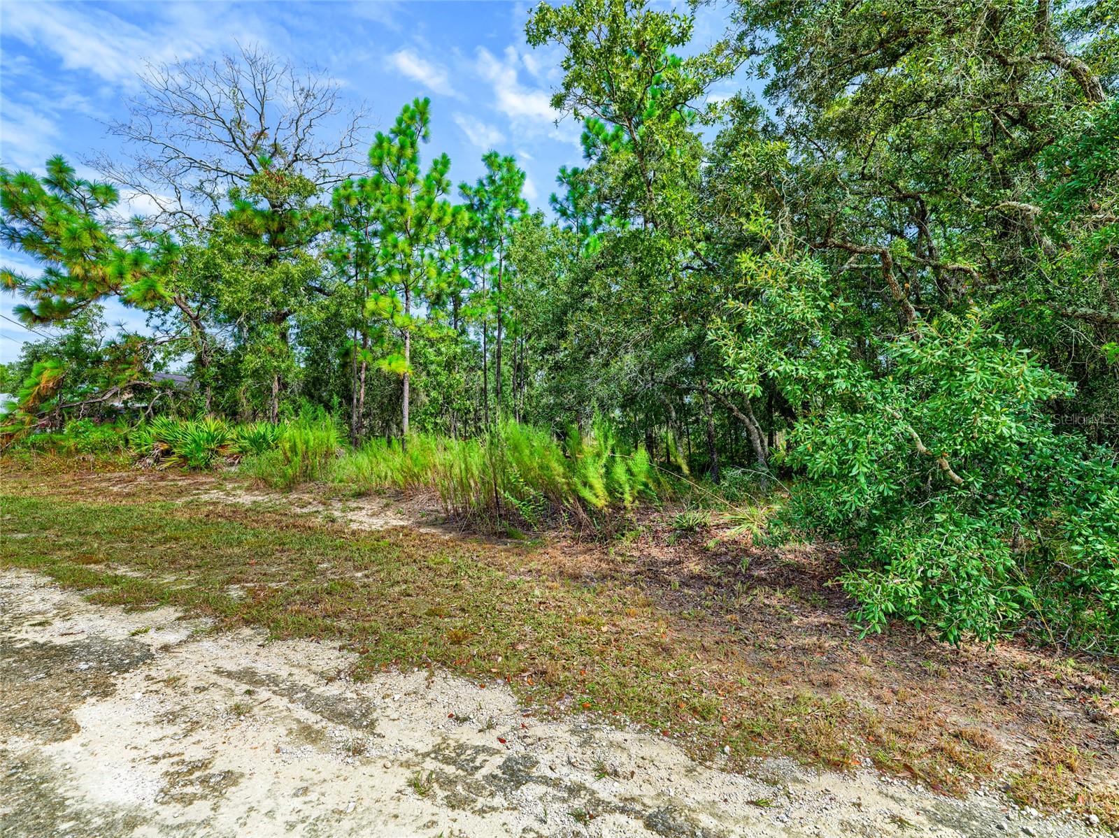 13233 English Fir Ct Property Photo 18