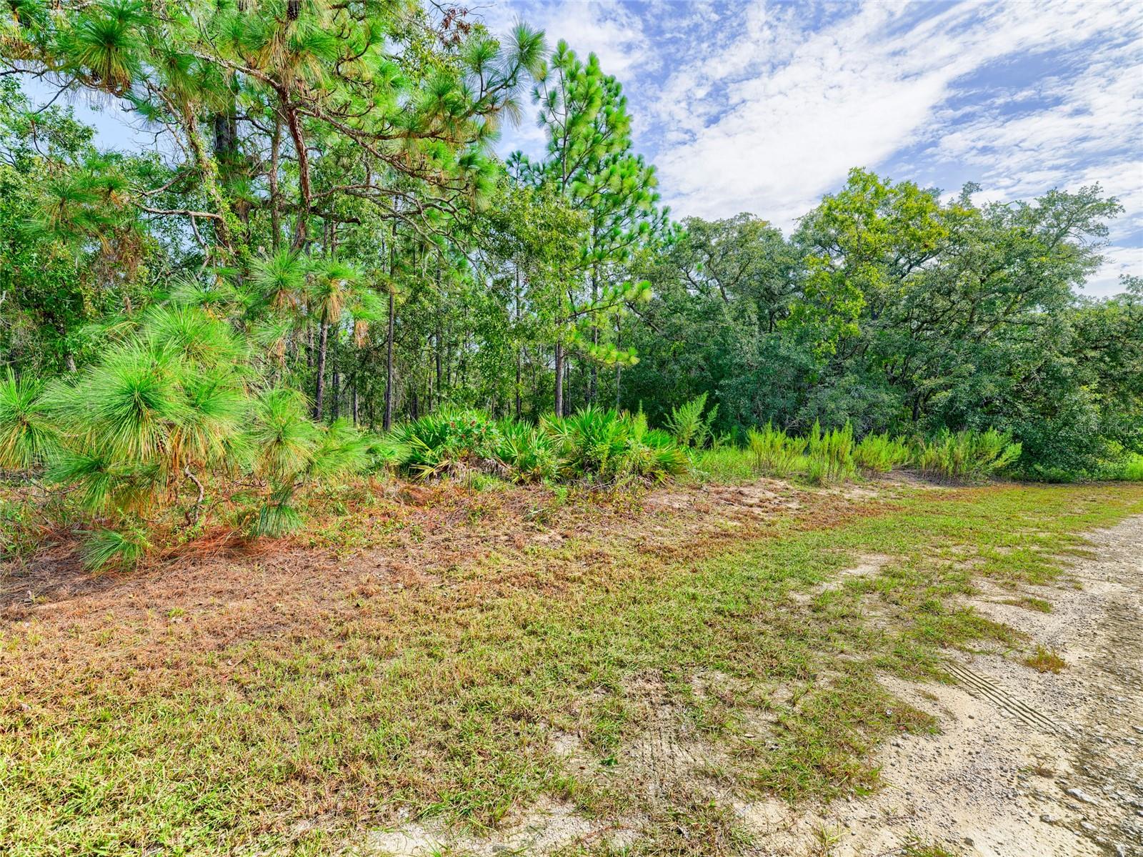 13233 English Fir Ct Property Photo 19